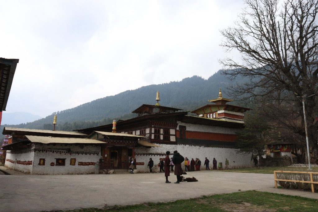 493319085 1457379011910665 5059822443255463853 n